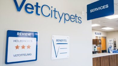 ветеринарная клиника Vetcitypets